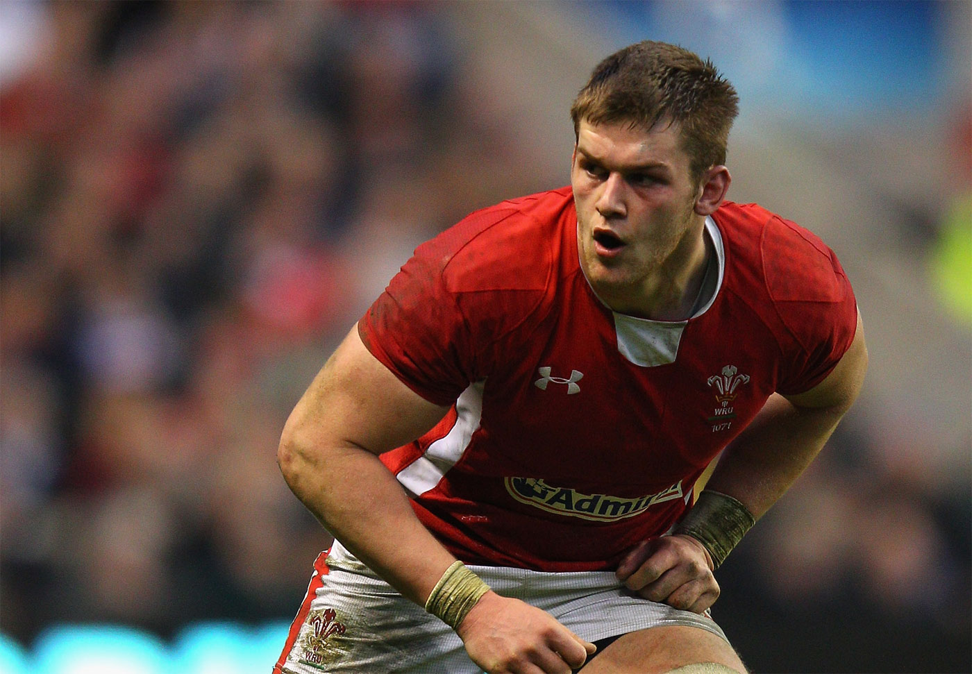 Wales Flanker Dan Lydiate